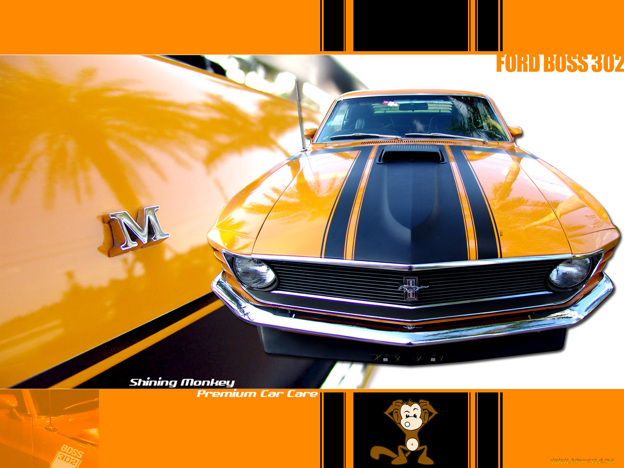 , mustang
